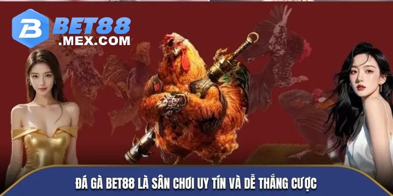Đá gà Bet88 là sân chơi uy tín và dễ thắng cược