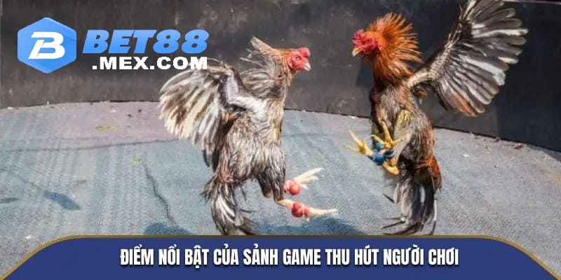 Điểm nổi bật của sảnh game thu hút người chơi