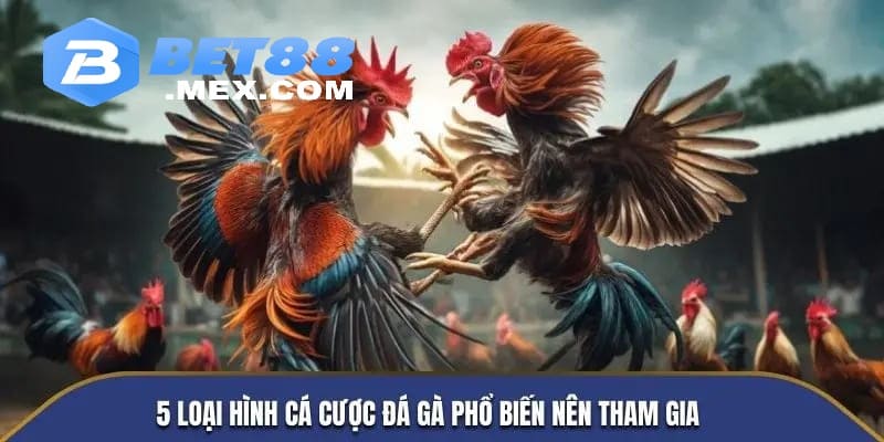 5 loại hình cá cược đá gà phổ biến nên tham gia