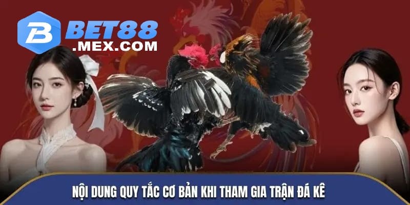 Nội dung quy tắc cơ bản khi tham gia trận đá kê