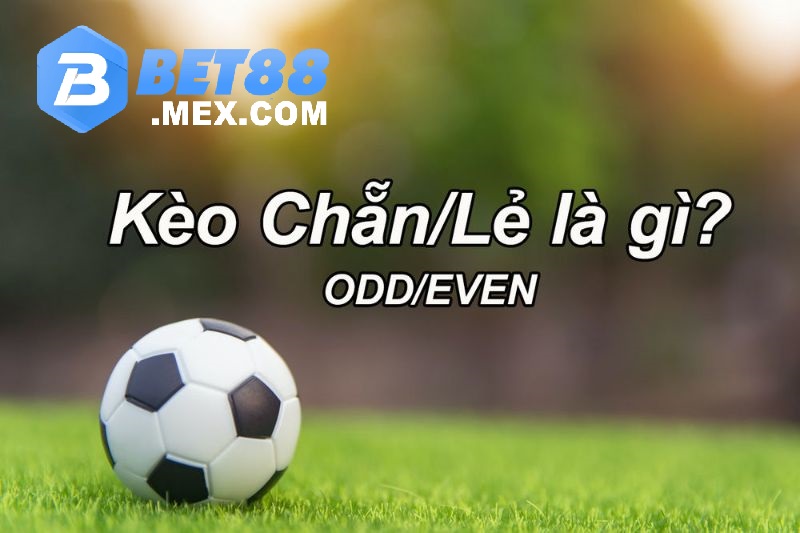 Kèo chẵn lẻ là gì? 
