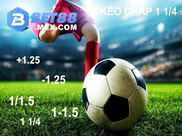 Xem xét bảng tỷ lệ cược từ các nhà cái