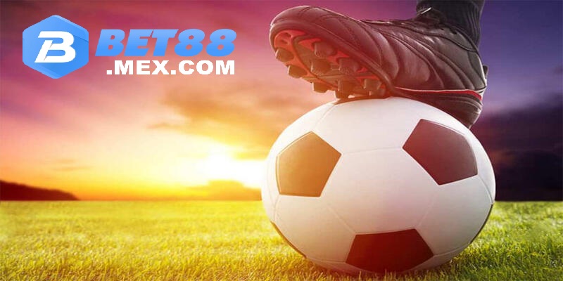 Tìm hiểu về cách đọc của kèo chấp nửa trái là sao