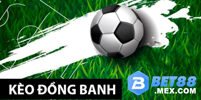 Kinh nghiệm soi kèo đồng banh là gì đỉnh cao nhất