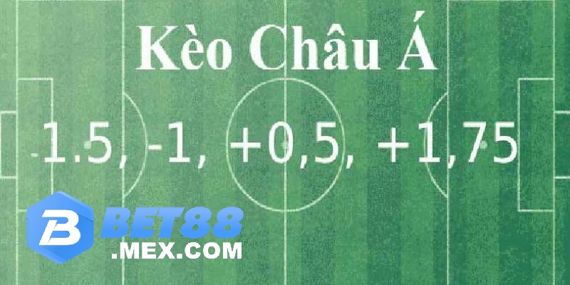 Soi kèo Châu Á có những tỷ lệ nào?