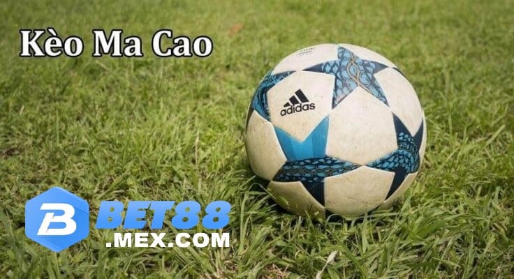 Chiến lược đặt cược hiệu quả tăng tỷ lệ kèo Ma Cao